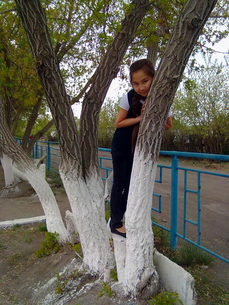 Анар Беисова