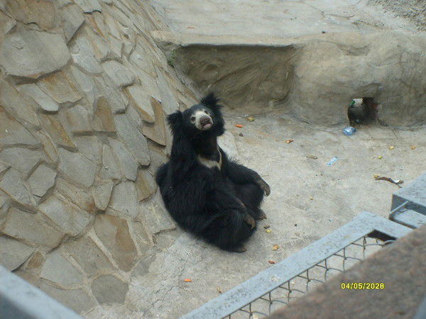 Виталий Либерман