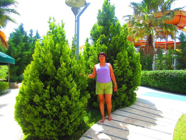 Ирина Котова