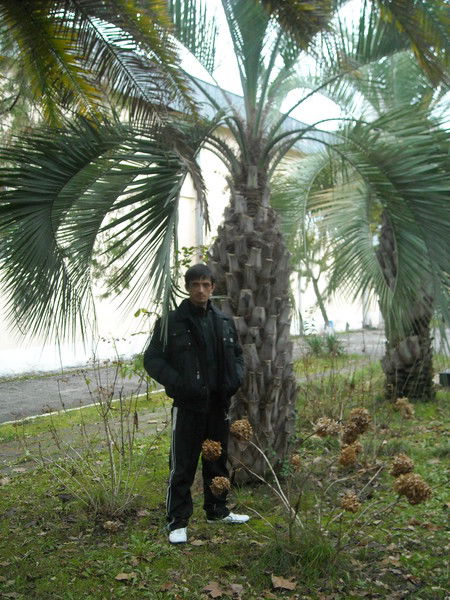 Сергей Мельник