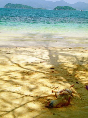 Кир Маркович