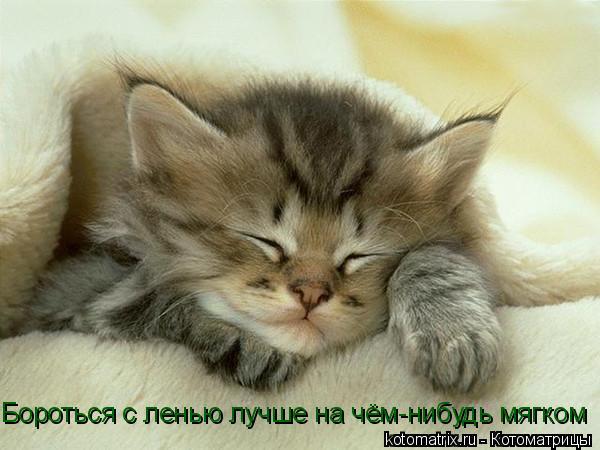 Лена Козина