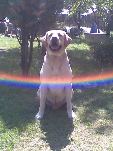 Тимерхан Кузоев