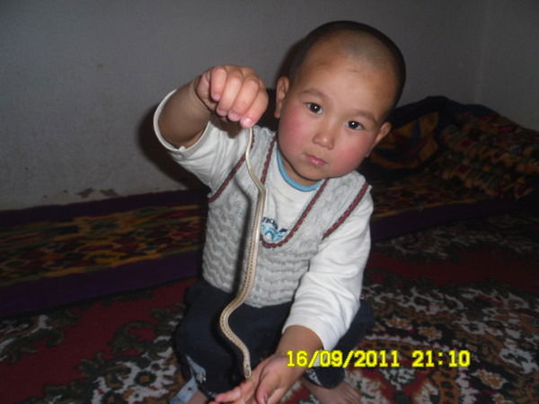 Алмаш Бакиева