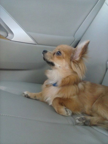 Наталья Бинько