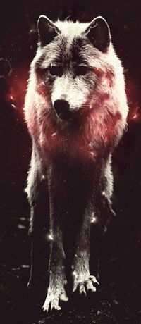 Даниил Пивоваров