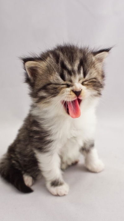 Рубанова Виктория