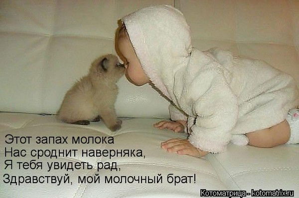 Елена Пляскина