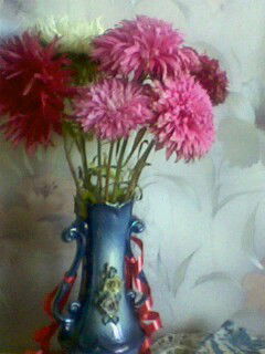 Александра Шестакова