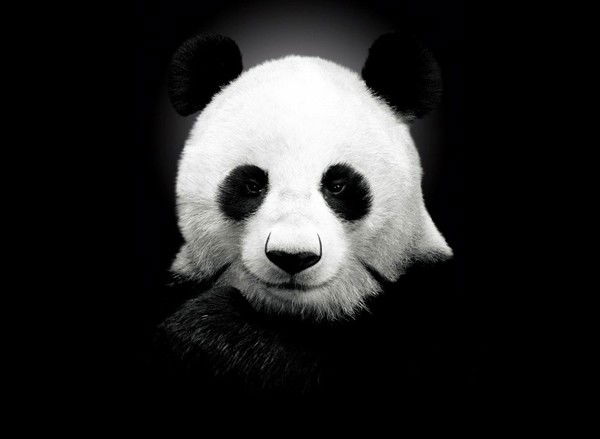 Асия Мешетбаева