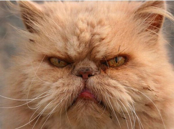 Евгений Макагонов