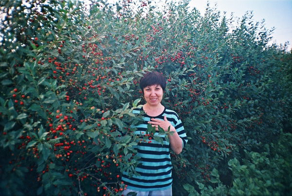 Надежда Юнгова-Хусаинова