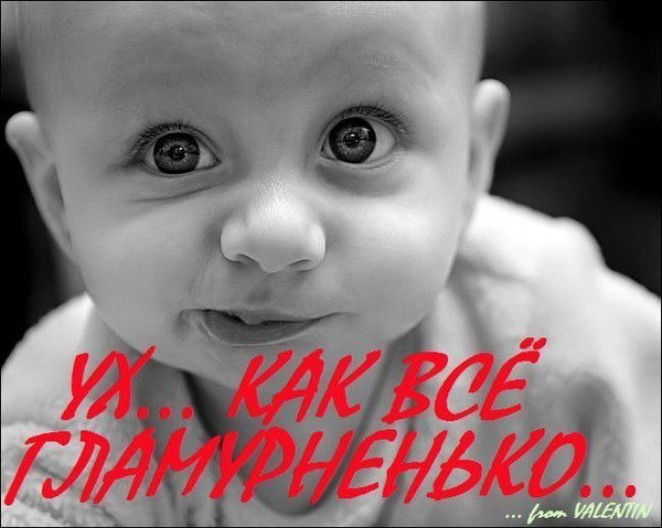 Владимир Комогорцев