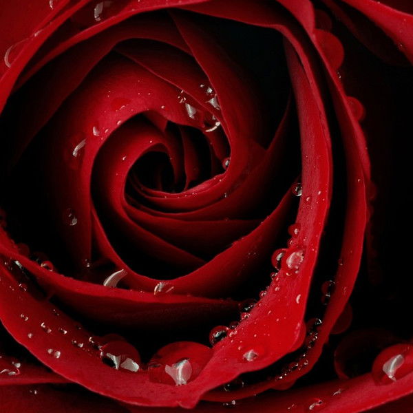 Зоя Абилова