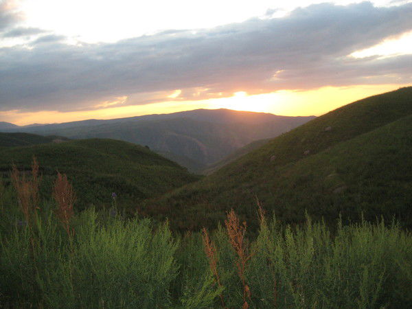 Алексей Дербилов