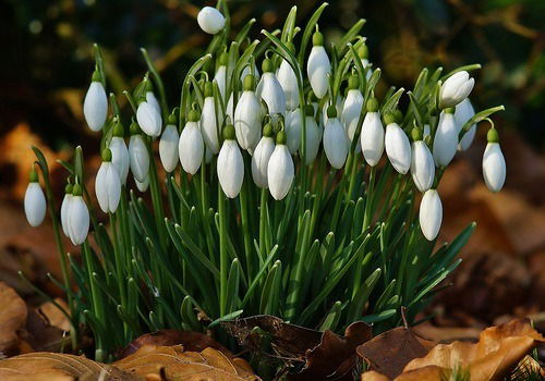 Толкын Абдуалиева