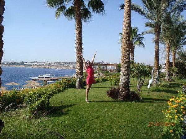 Алена Алена