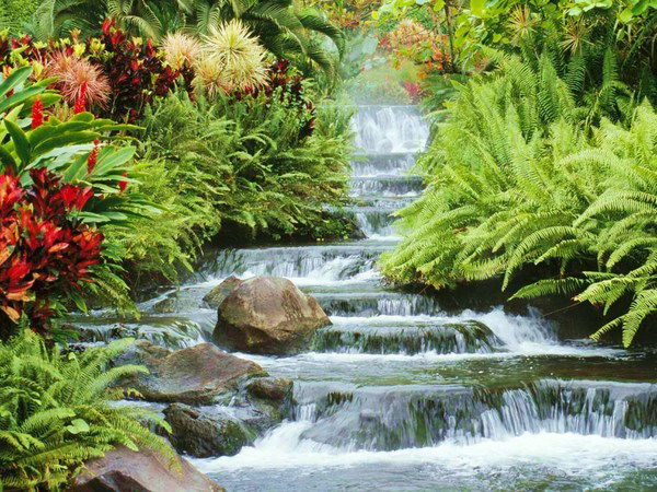 Хатиря Мякушева