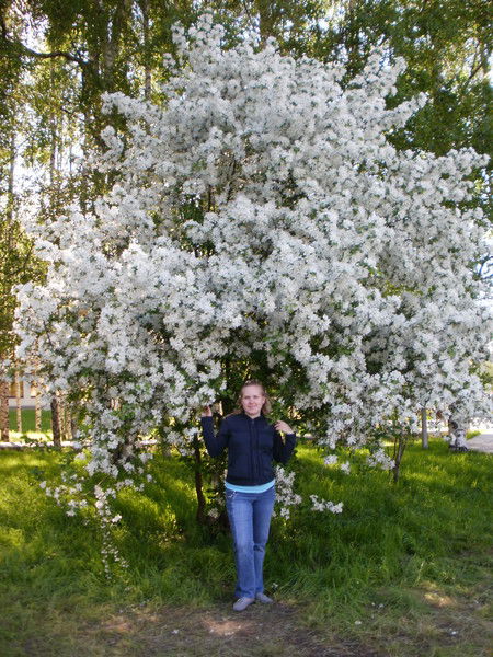 Елена Тарануха