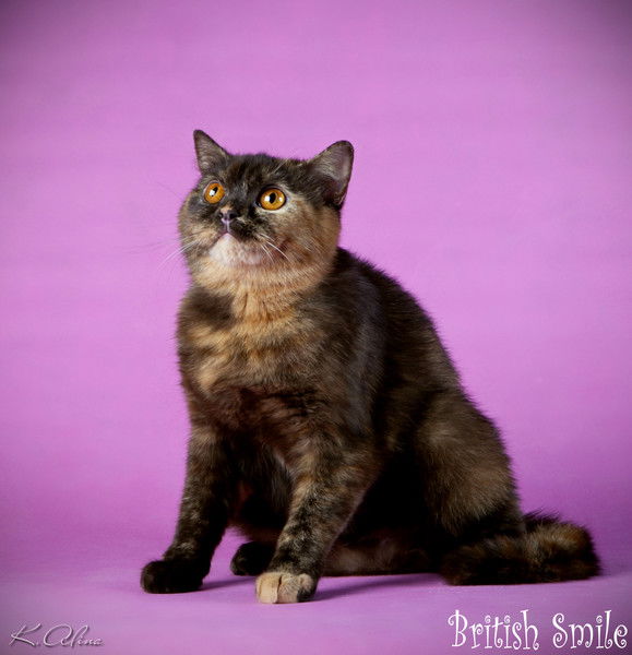 Юлия Гапонова