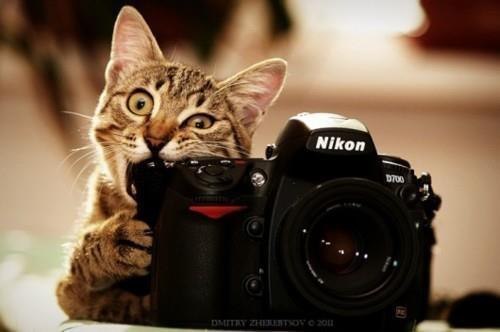 Павел Шанцев