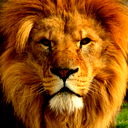 Салихов Сайдаш