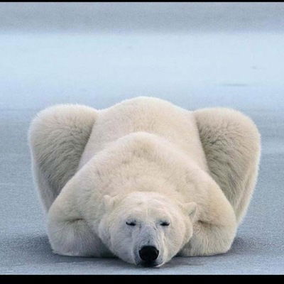 Руслан Мадаев