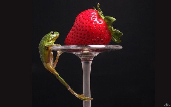 Наташа Наташкина