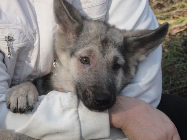 Тимур Кудасов