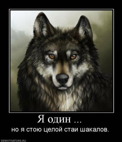 Шокан Токберген