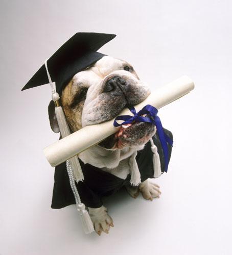 Двагс- 2010 Гиму