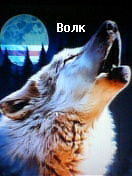 Марат Алыпкачев