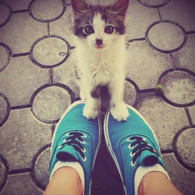 Алёна Кошкина