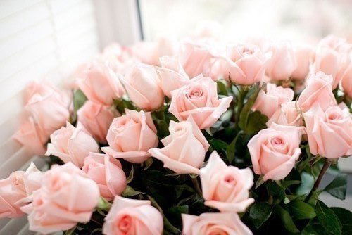 Наталья Мазеева