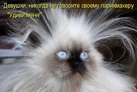 Алексей Хамрокулов