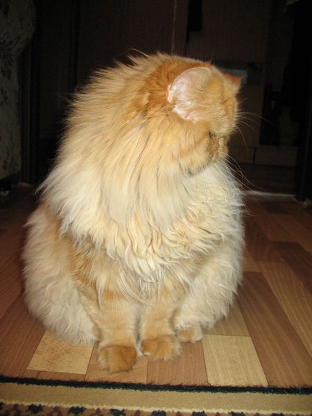 Валентина Зуева