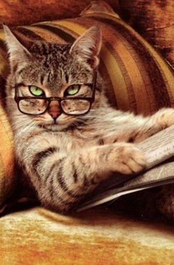 Роза Жунисова