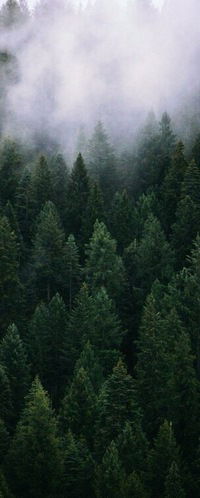 Вячеслав Иванов