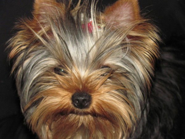 Светлана Кирюшина