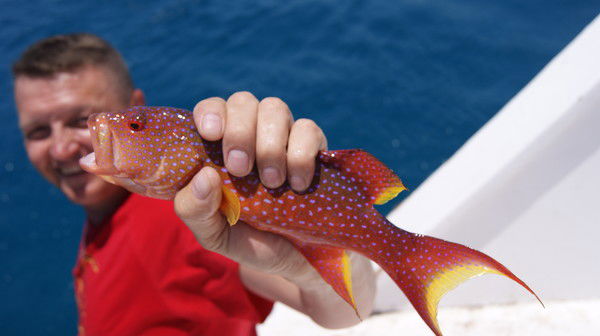 Николай Орлов