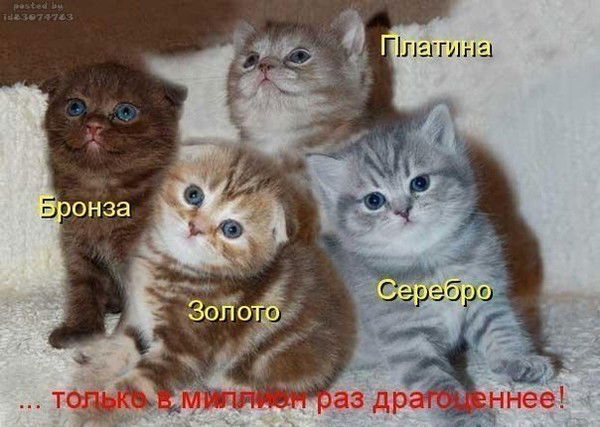 Зинаида Доронина