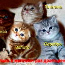 Зинаида Доронина