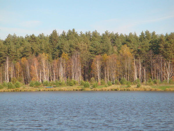 Светлана Дегтярева