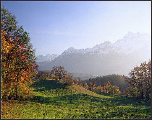 Ольга Афанасьева