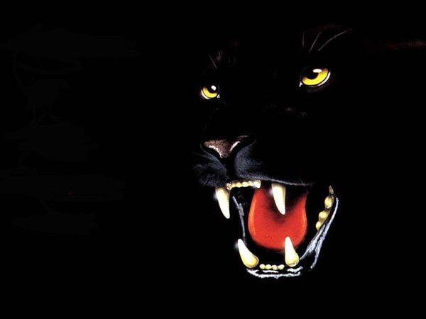 Ричард Энар