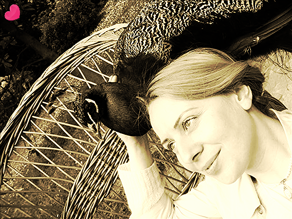 Сарвакамья Украинская