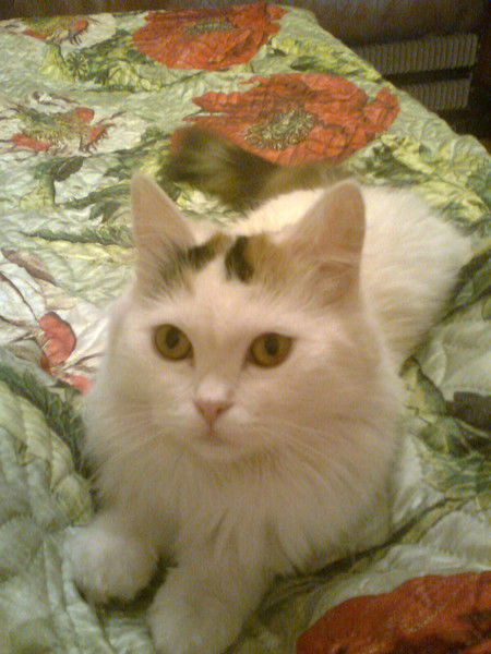 Светлана Гусарова