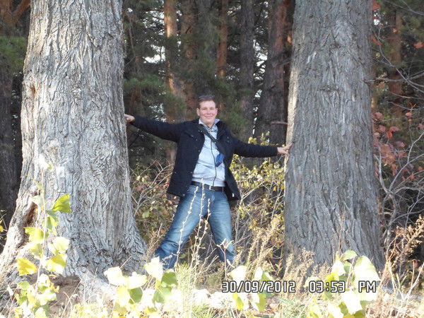 Дмитрий Анисимов