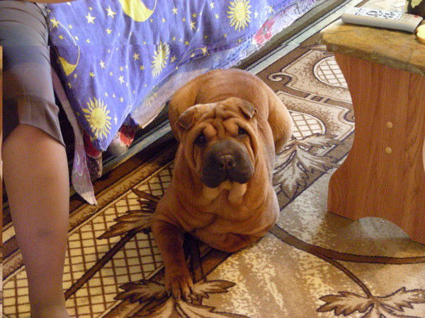 Марина Староверова