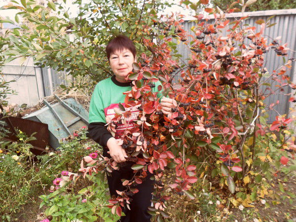 Татьяна Алексеева